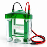 Vertical Electrophoresis System